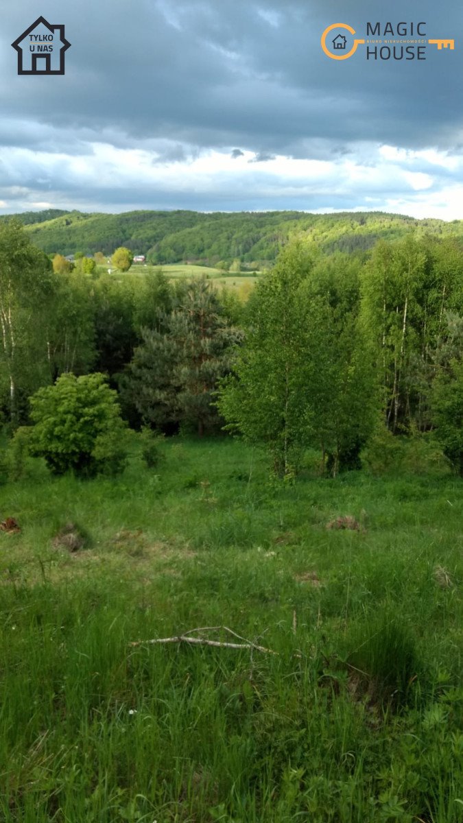 Działka 1,26 ha z WZ, 2 domy, inwestycja i prywatność Stara Huta, Perłowa  12 618m2 Foto 1