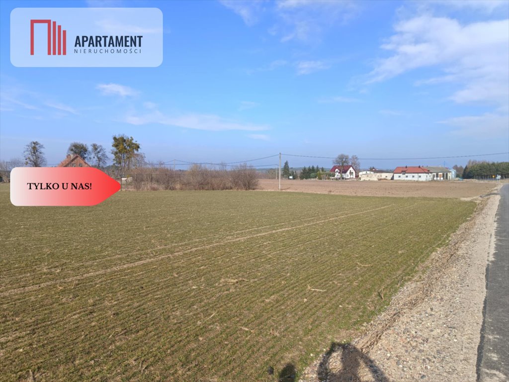 Działka budowlana na sprzedaż Osetno  11 800m2 Foto 12