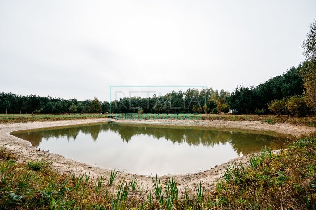 Działka budowlana na sprzedaż Podlasie  12 000m2 Foto 7