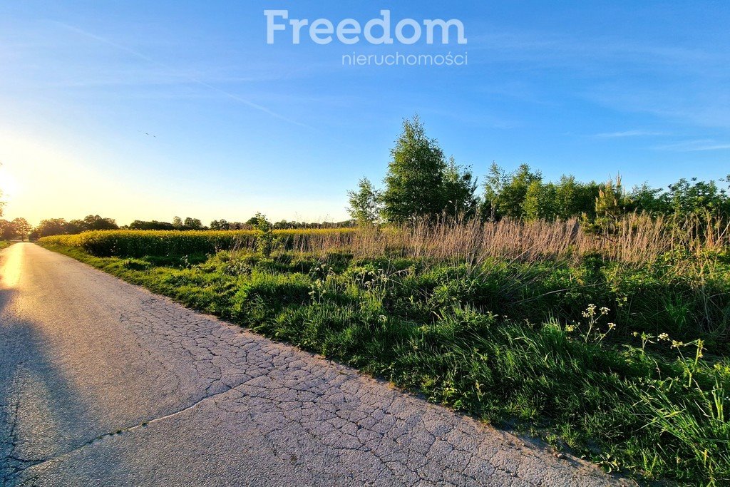 Działka budowlana na sprzedaż Biała Podlaska, Kolonia Francuska  11 896m2 Foto 2