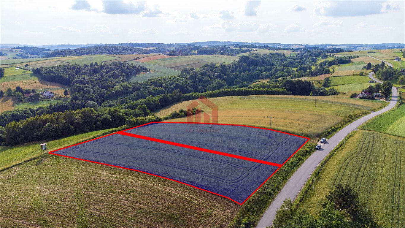 Działka budowlana na sprzedaż Wielopole Skrzyńskie  3 650m2 Foto 14