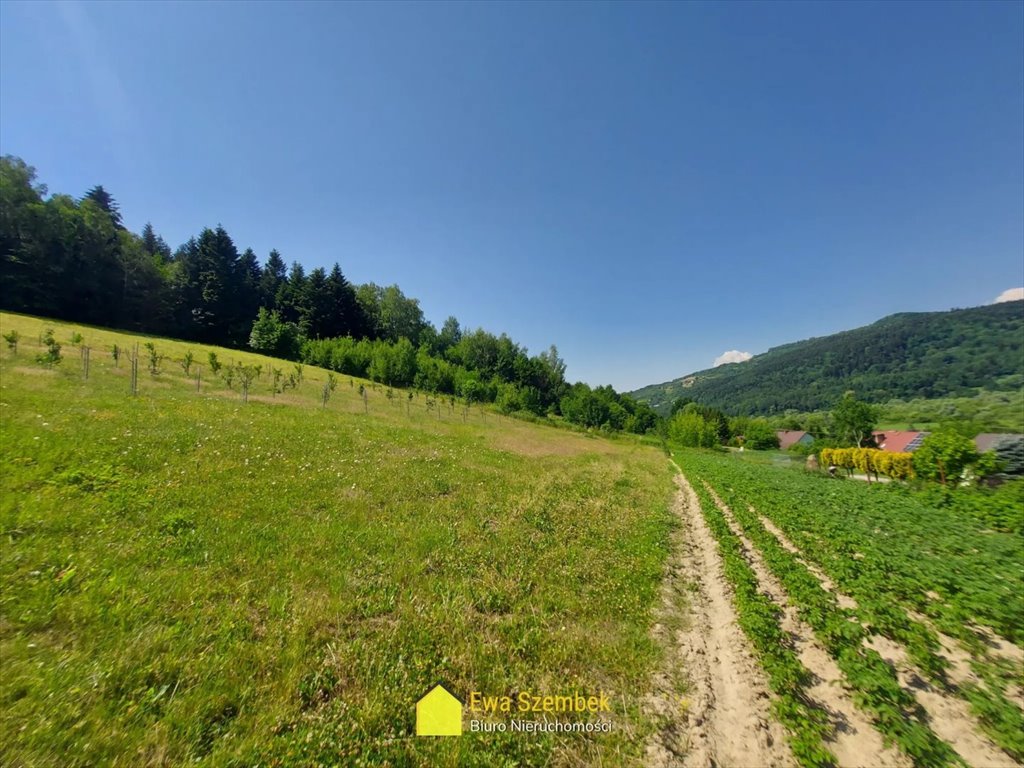 Dom na sprzedaż Chełmiec  200m2 Foto 3