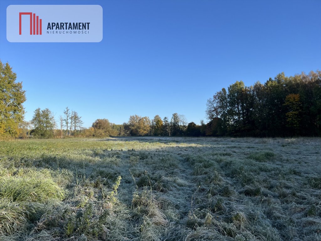 Działka gospodarstwo rolne na sprzedaż Dalewo  29 700m2 Foto 2