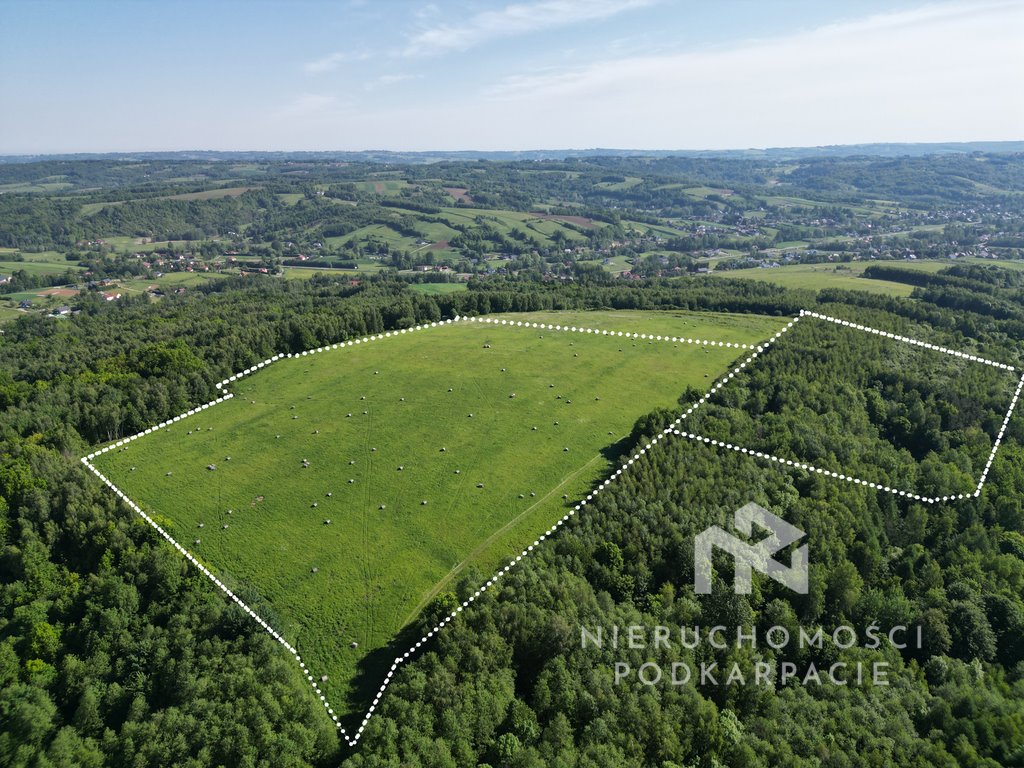 Działka 12,61 ha z lasem i panoramicznym widokiem Błażowa Dolna  126 100m2 Foto 1