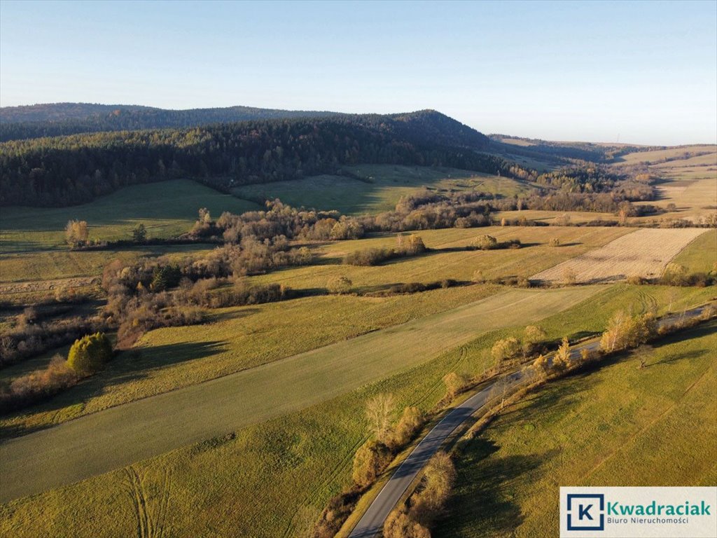 Działka rolna na sprzedaż Daliowa  35 000m2 Foto 6