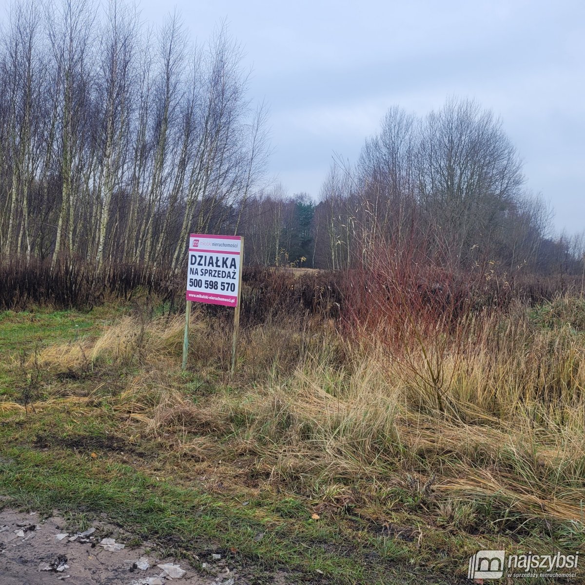 Działka rolna na sprzedaż Żółwia Błoć, Wieś  23 800m2 Foto 10