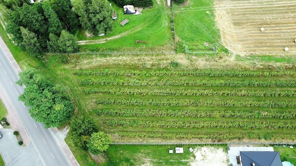 Działka budowlana na sprzedaż Werchliś  1 200m2 Foto 5