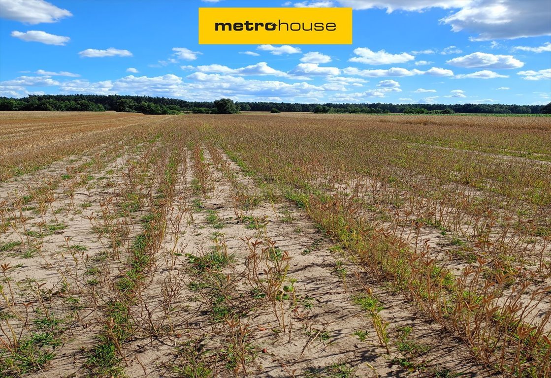 Polecam działkę rolną 13 300 m² w Dąbkowicach Dolnych Dąbkowice Dolne  13 300m2 Foto 1
