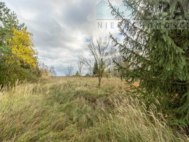 Działka 2019 m² pod dom lub wypoczynek, ogrodzona Brzezie  2 019m2 Foto 1