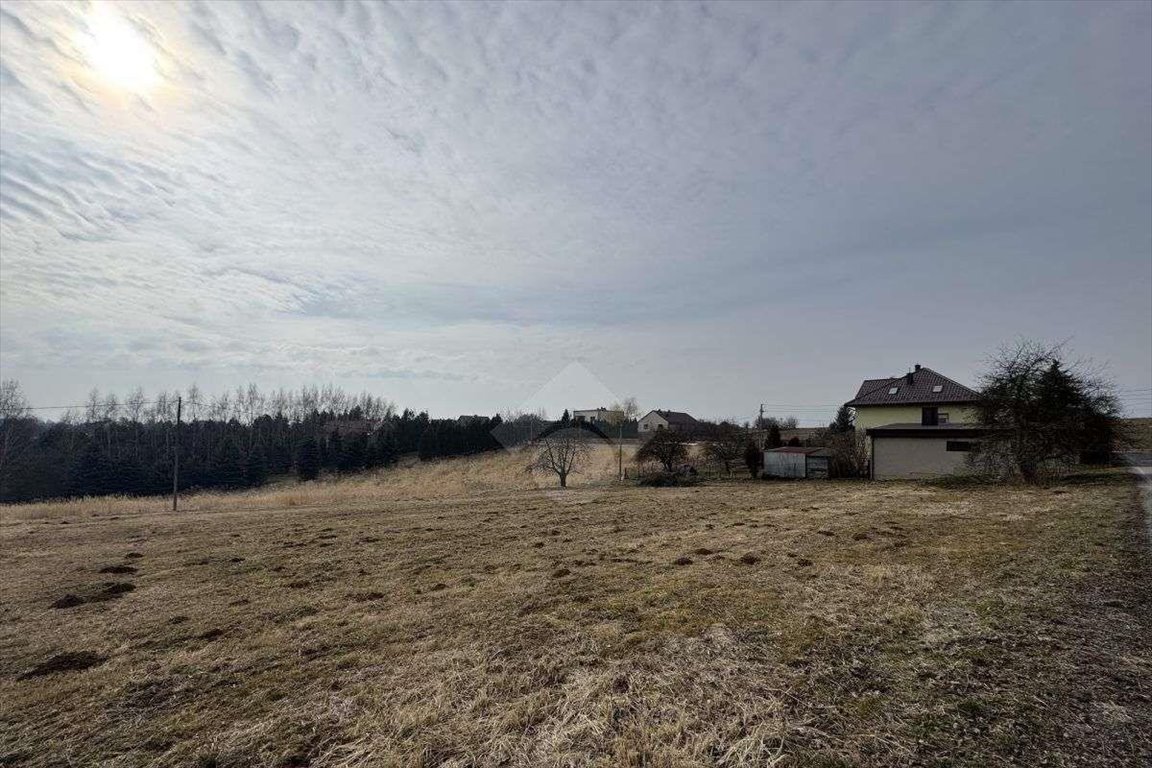 Działka budowlana na sprzedaż Grębynice, ul. Orlich Gniazd  1 650m2 Foto 2