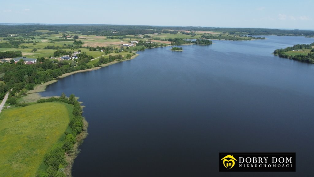 Działka rolna na sprzedaż Grzybina  3 438m2 Foto 4