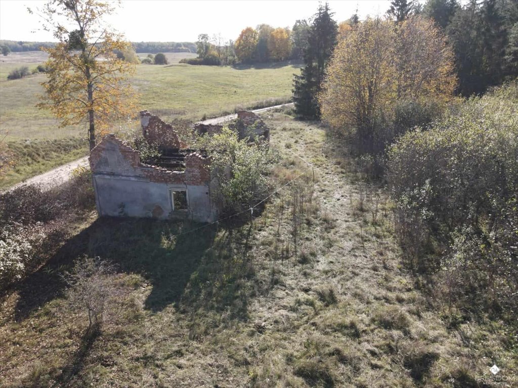 Działka rolna na sprzedaż Targowska Wola  2 655m2 Foto 7