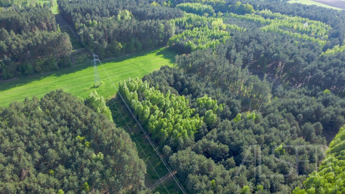 Działka rekreacyjna na sprzedaż Nowe Bosewo, Lipnik  1 245m2 Foto 6