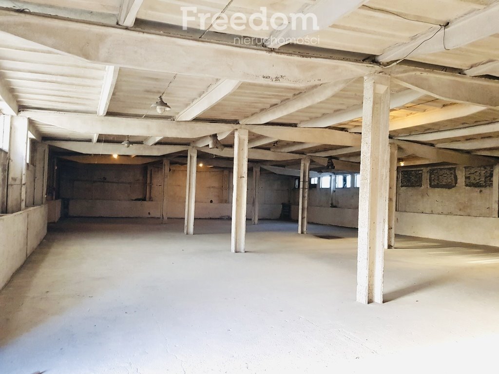 Zdjęcie 7