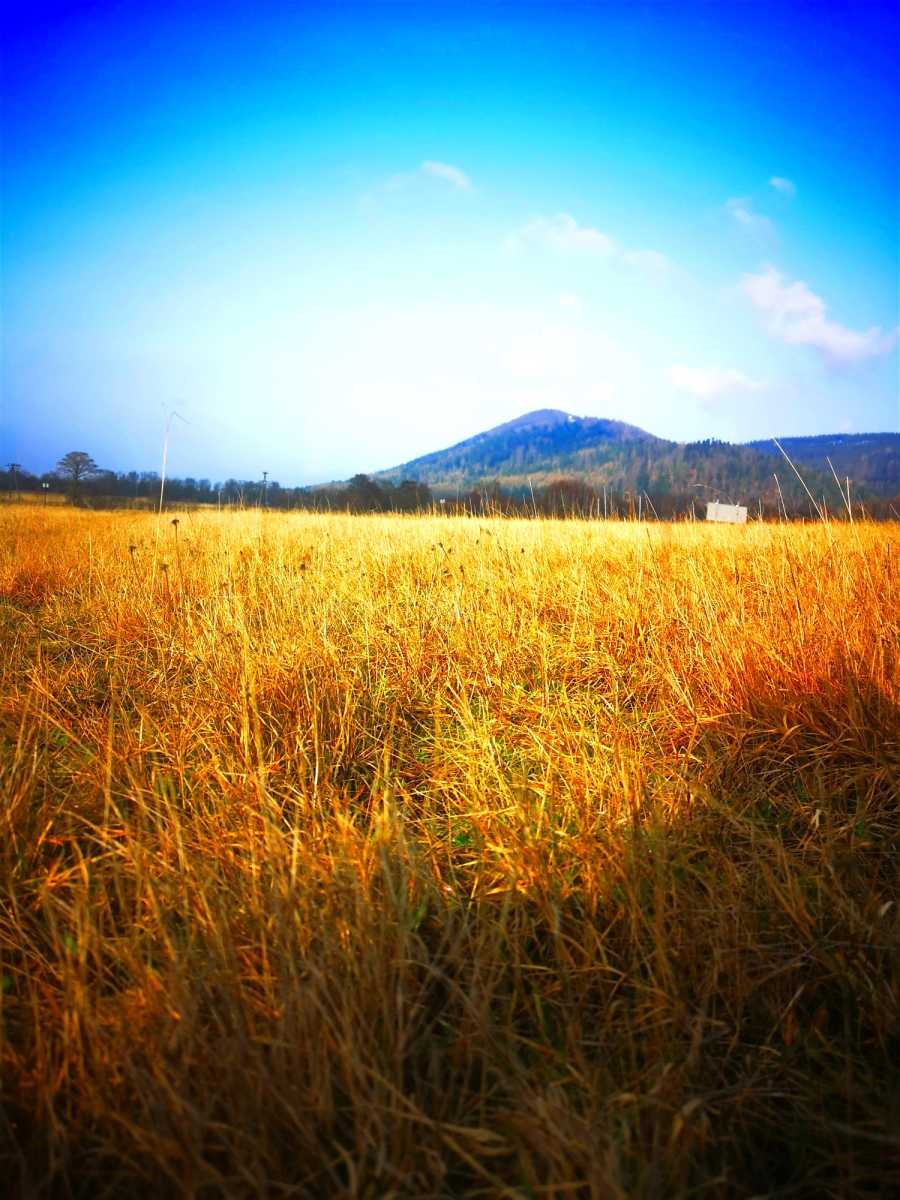 Działka budowlana na sprzedaż Międzylesie, Jaworek  1 066m2 Foto 1