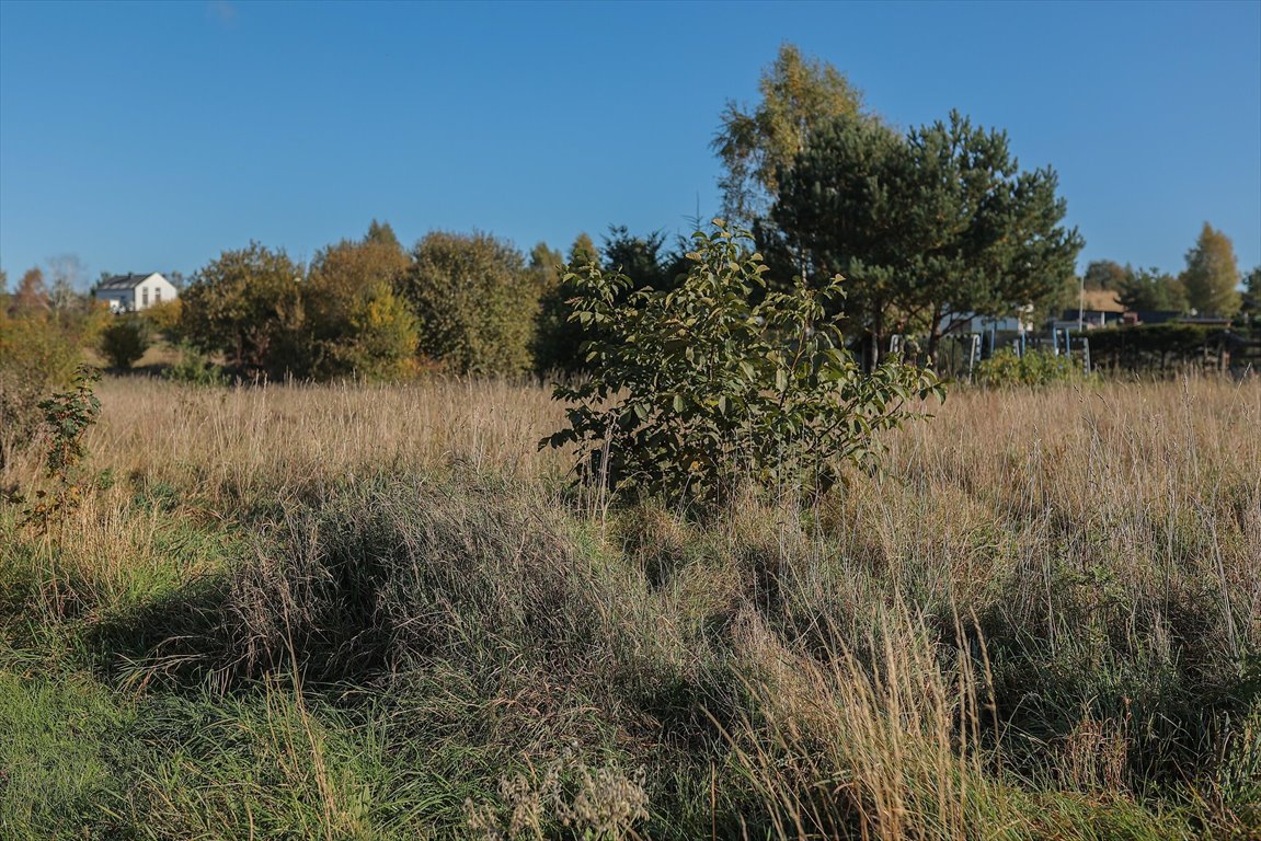 Działka budowlana na sprzedaż Gowino  973m2 Foto 8