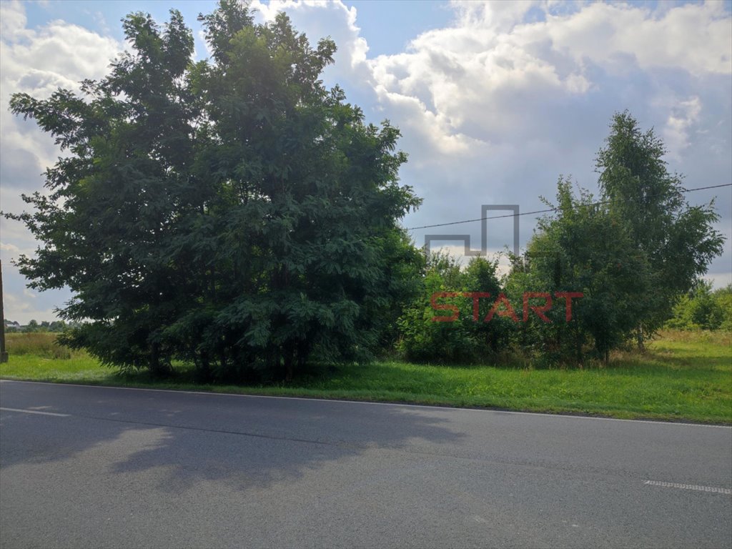 Działka rolna w Puszczy Mariańskiej, 3 017 m2, cisza i spokój Stary Łajszczew  3 017m2 Foto 1