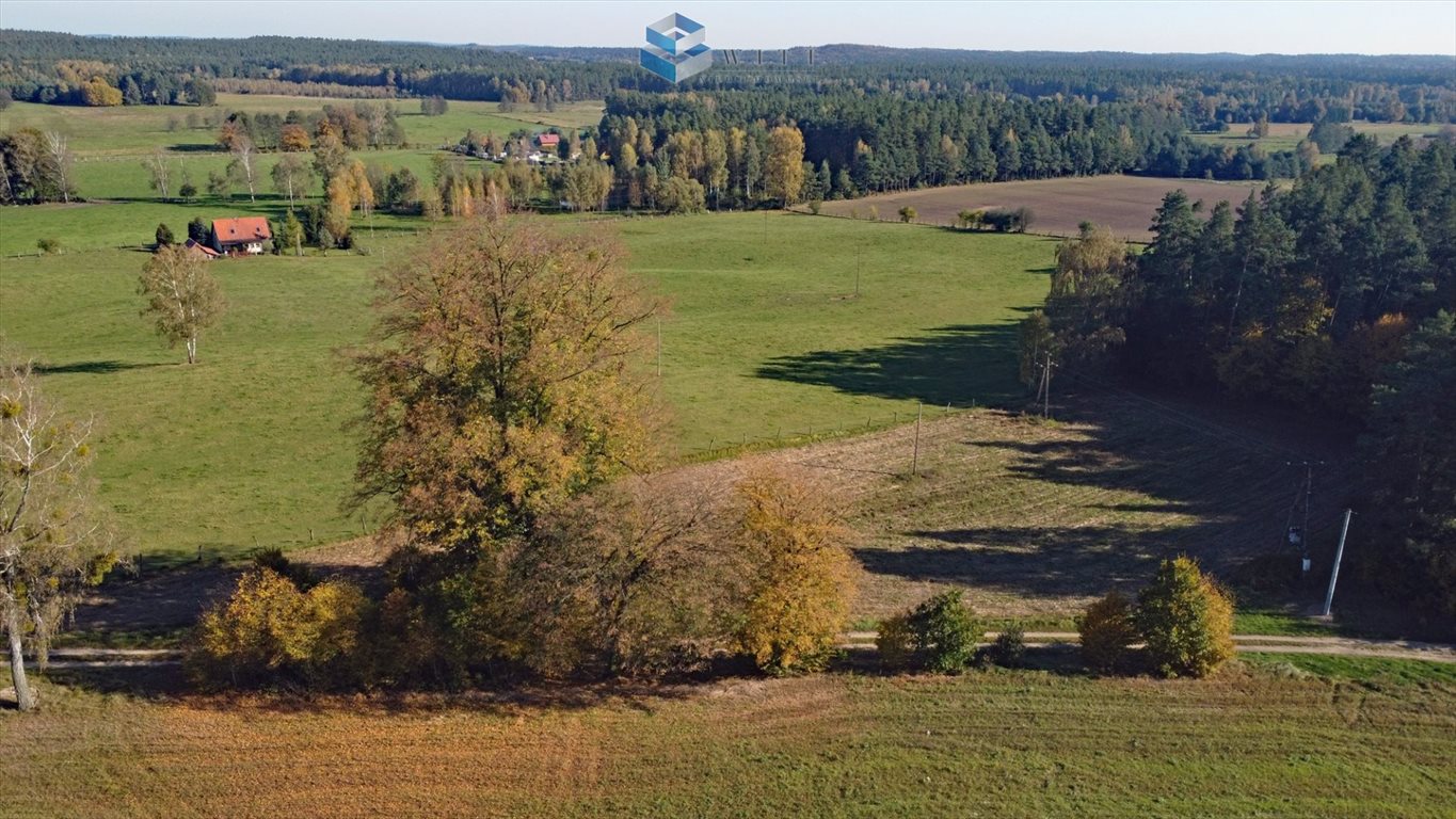 Działka budowlana na sprzedaż Molza  3 005m2 Foto 4