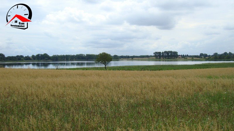 Działka gospodarstwo rolne na sprzedaż Radoszewice  3 000m2 Foto 8