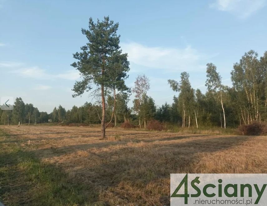 Działka budowlana na sprzedaż Dębinki  1 100m2 Foto 2