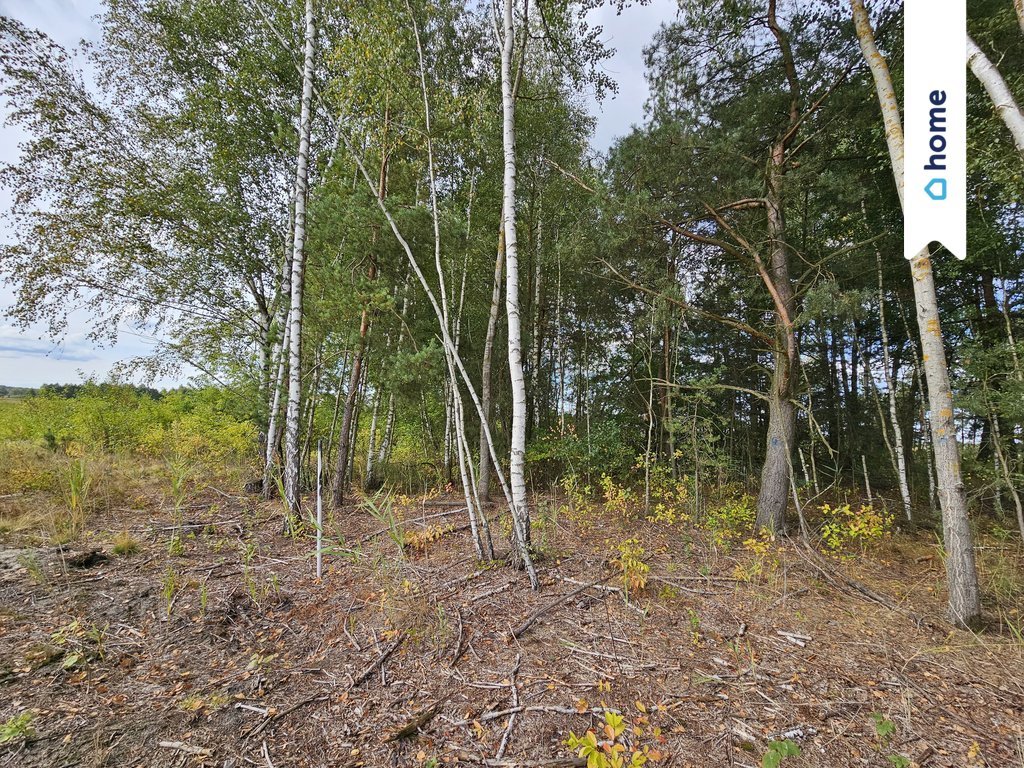 Działka inna na sprzedaż Sobieńki  1 270m2 Foto 14