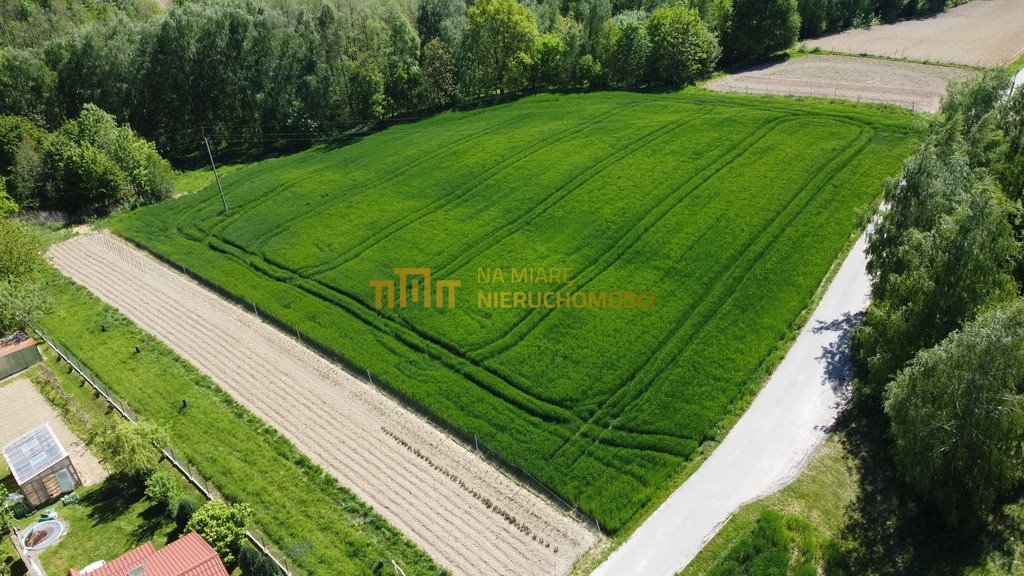 Działka budowlana na sprzedaż Cierpisz  3 000m2 Foto 2