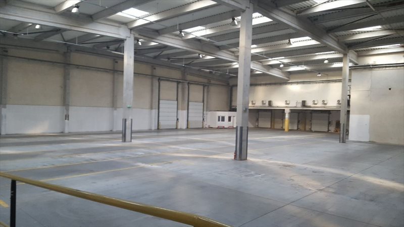 Lokal użytkowy na wynajem Poznań, Dębiec 1 500m2 Foto 1 Lokal użytkowy na wynajem Poznań, Dębiec 1 500m2 Foto 1