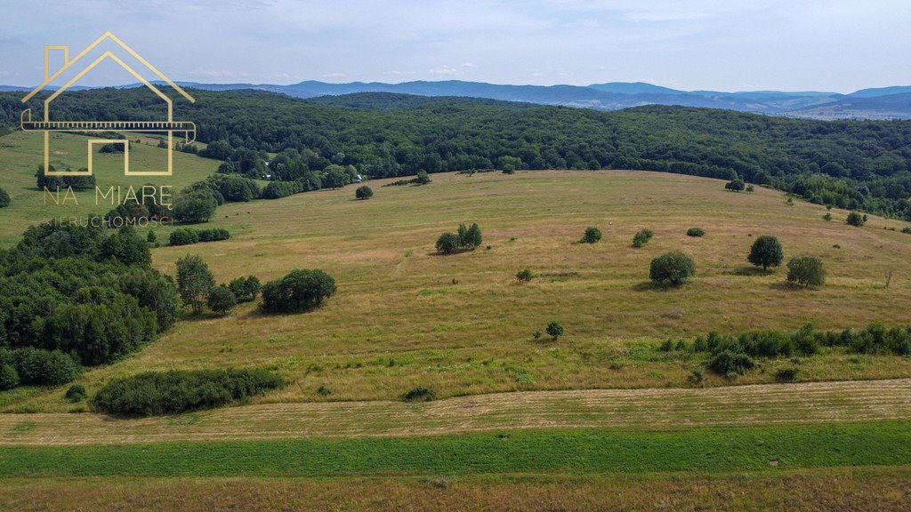 Działka rolna na sprzedaż Łężyny  1 500m2 Foto 10