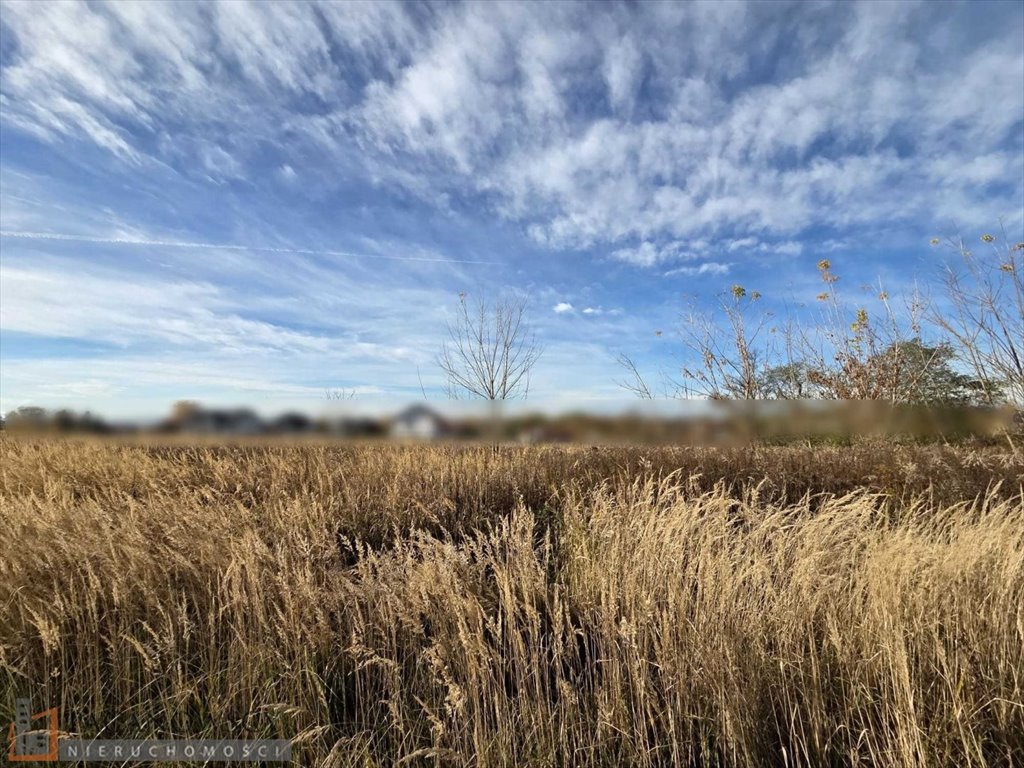 Działka budowlana 9,01 ara w Prądniku Białym, bez prowizji Kraków, Prądnik Biały, Tonie  901m2 Foto 1