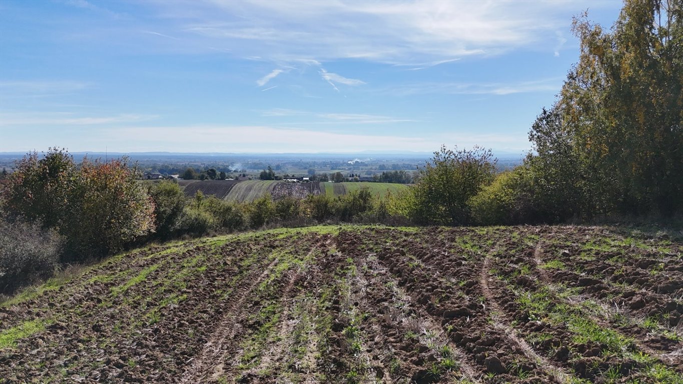 Działka rekreacyjna na sprzedaż Koszyce, Jaksice, Jaksice  750m2 Foto 4