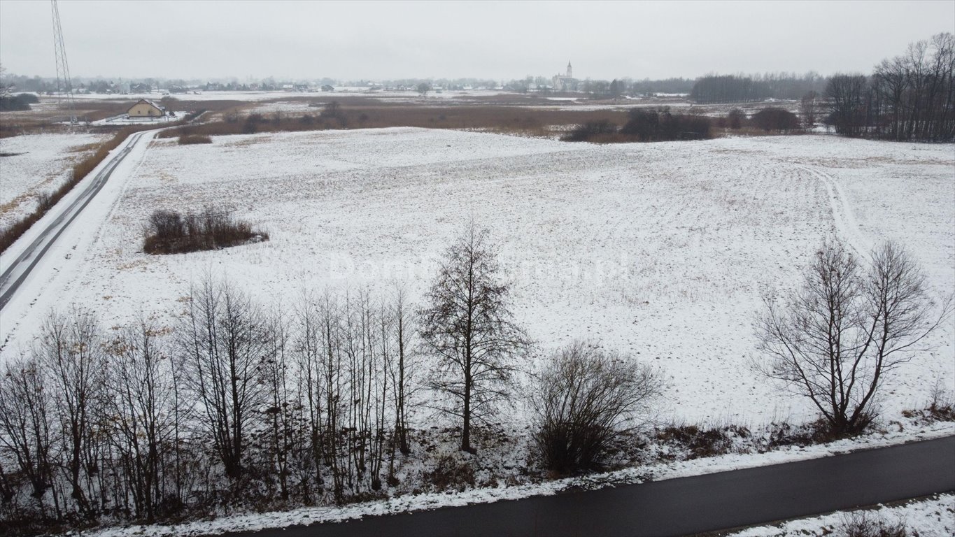 Działka rolna na sprzedaż Dębina  8 902m2 Foto 7