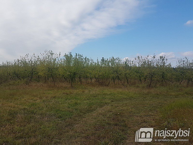 Dom na sprzedaż Marianowo, obrzeża  1 450m2 Foto 27