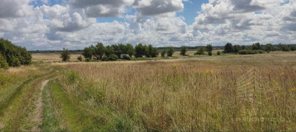 Działka inna na sprzedaż Pobierowo  5 000m2 Foto 14