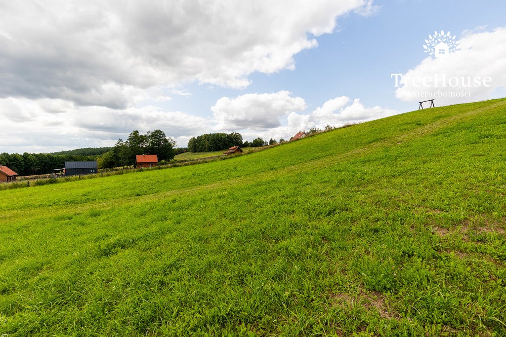 Działka budowlana na sprzedaż Pasterzewo  9 259m2 Foto 14