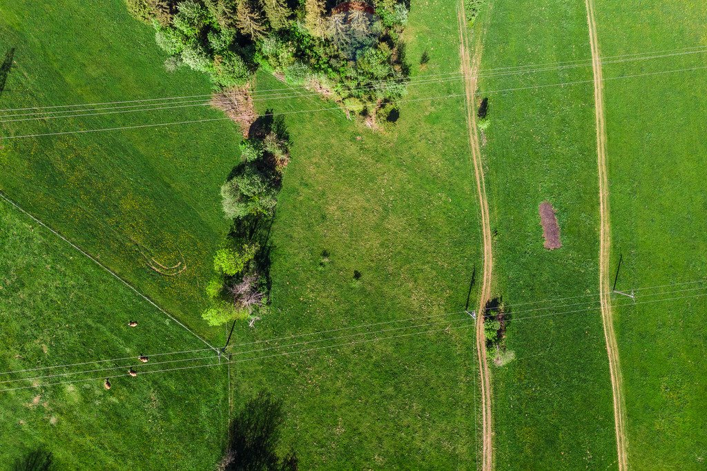 Działka rolna na sprzedaż Sierockie  1 365m2 Foto 2