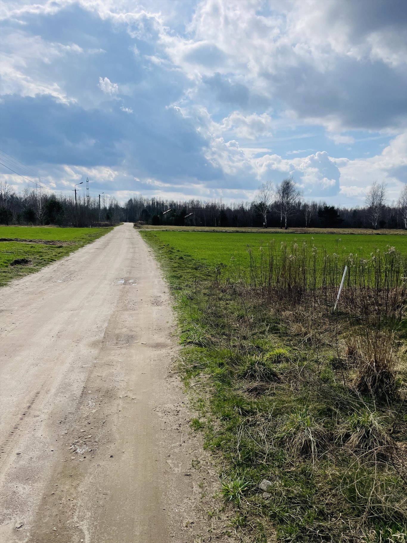 Działka rolna na sprzedaż Helenów, 100-lecia  5 650m2 Foto 1