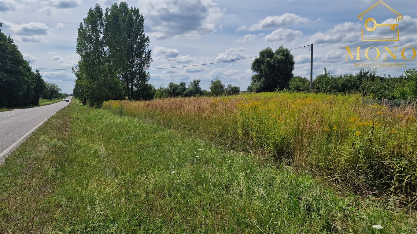 Działka budowlana na sprzedaż Piasek Wielki  26 800m2 Foto 3