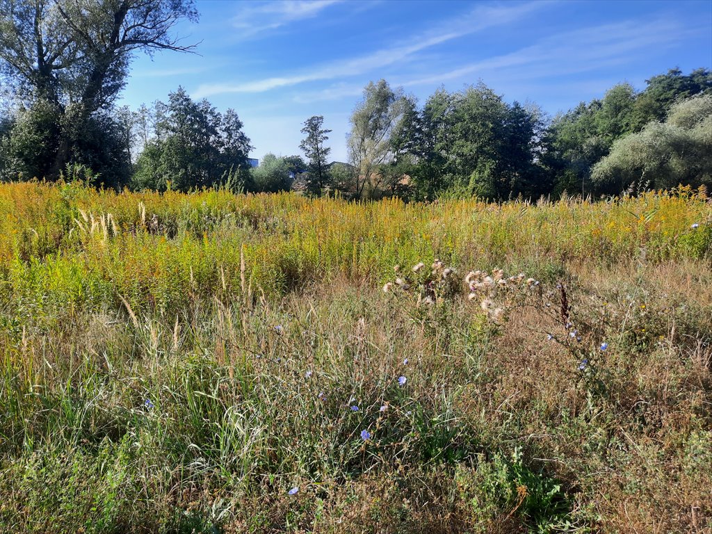 Działka budowlana na sprzedaż Krobia  1 506m2 Foto 1