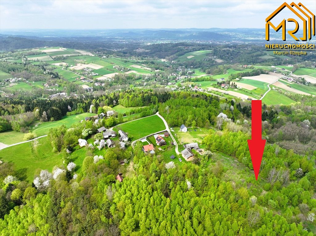 Duża działka 10 000 m² pod zabudowę i rekreację Słona  10 000m2 Foto 1