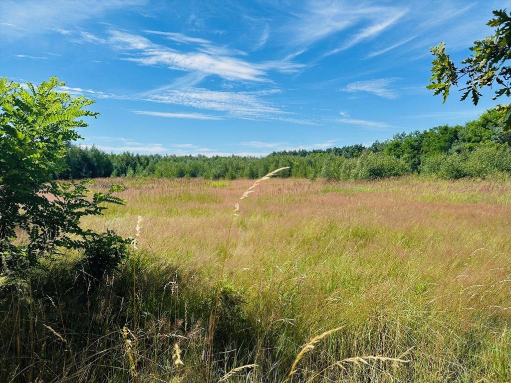 Działka budowlana 1,1 ha z dostępem do mediów i lasem Lusowo, Zagrodowa  11 006m2 Foto 1
