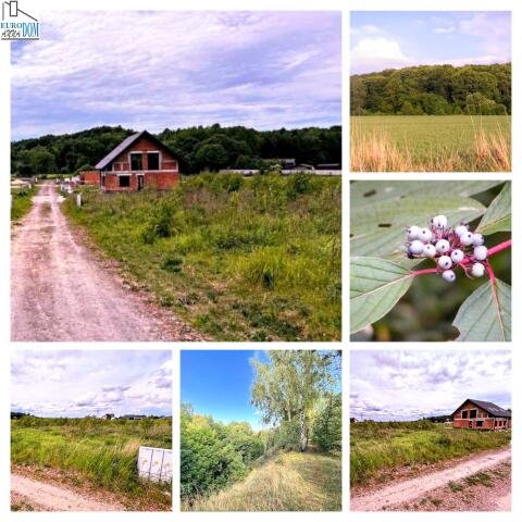 Działka budowlana na sprzedaż Radzionków, Knosały  633m2 Foto 1