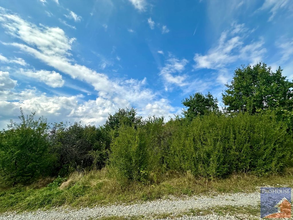 Działka budowlana na sprzedaż Limanowa, Stara Wieś  5 700m2 Foto 16