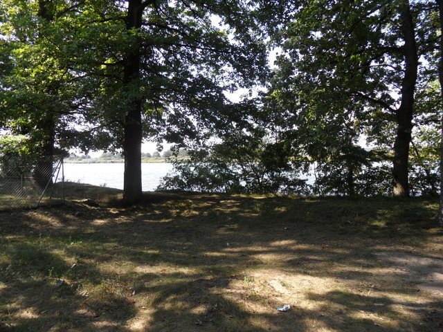 Działka 833 m2 w Dębce z lasem i planem zabudowy Dębce  833m2 Foto 1