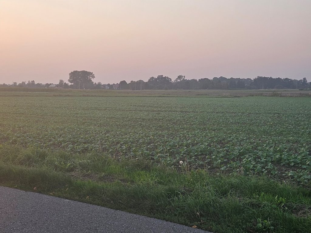 Działka rolna na sprzedaż Wola Batorska  3 000m2 Foto 4