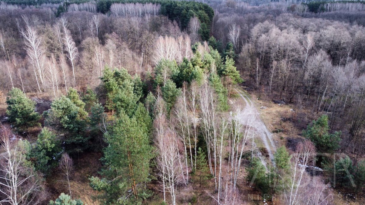 Działka budowlana na sprzedaż Ławki, Wrzosowa  1 000m2 Foto 5