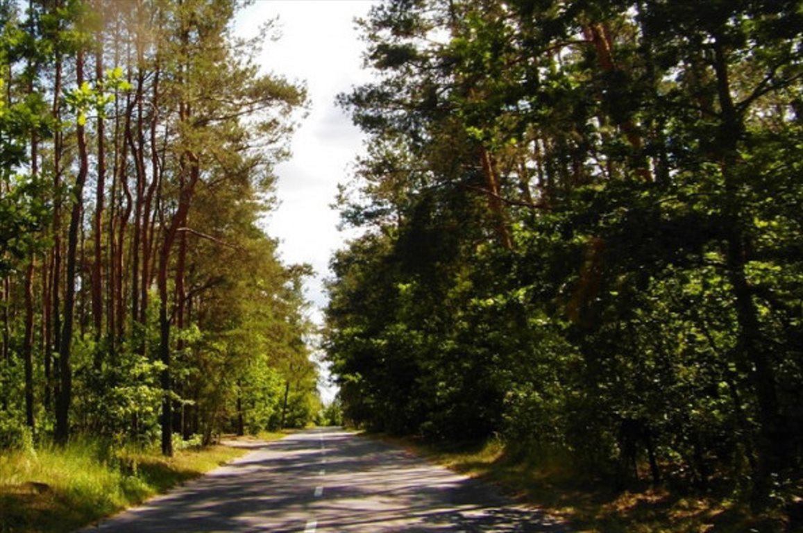Działka leśna na sprzedaż Zielonki Wieś  2 400m2 Foto 2