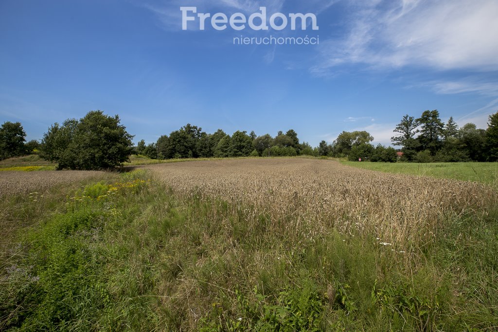 Działka rolna na sprzedaż Cieszyna  9 593m2 Foto 17