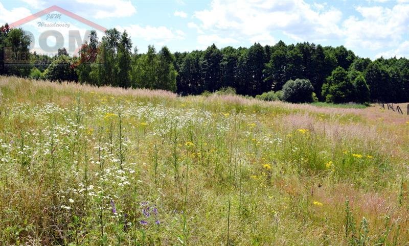 Działka inna na sprzedaż Gudowo  15 600m2 Foto 10