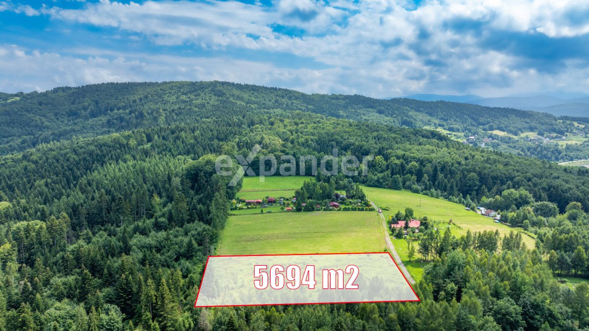 Działka budowlana na sprzedaż Dąbrówka  5 694m2 Foto 6