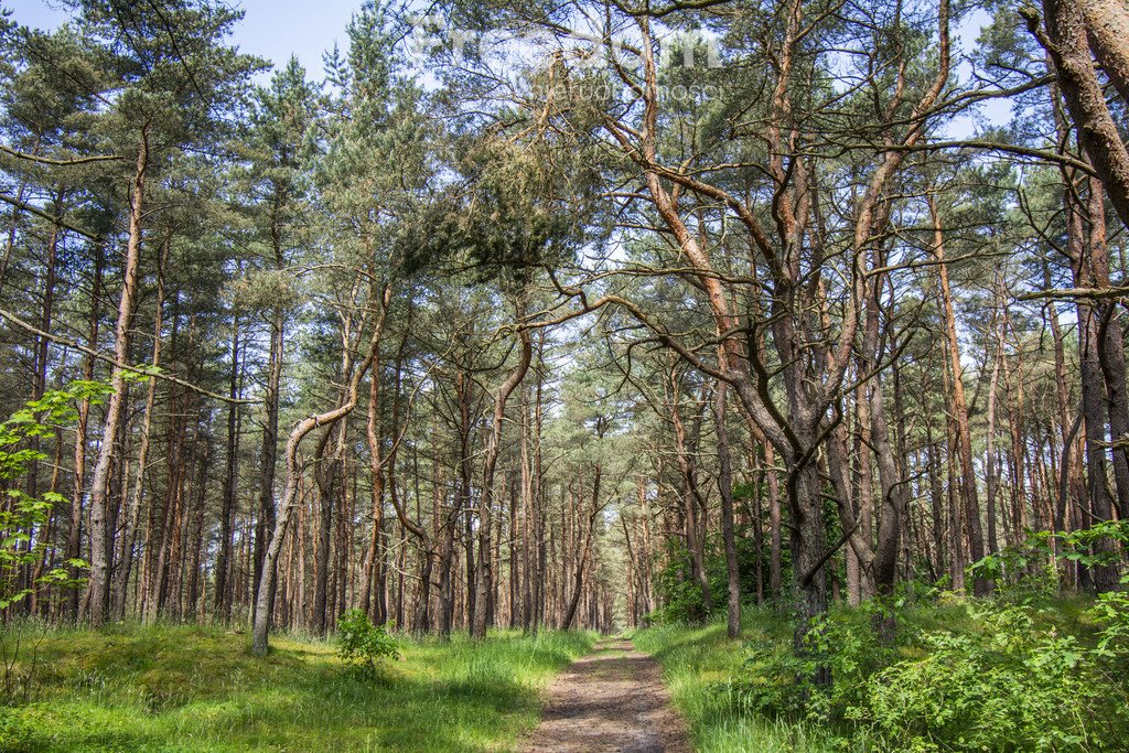 Mieszkanie trzypokojowe na sprzedaż Lędowo-Osiedle, Pionierska  106m2 Foto 20